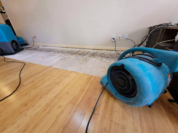 Professional Flood Damage Cleanup technician working in Camp Pendleton, CA